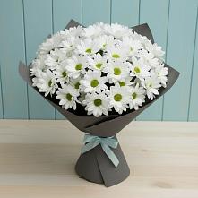 Букет цветов из:  Хризантемы в Синьково