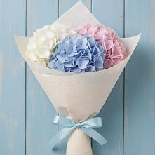 Букет цветов из:  Гортензия в Синьково