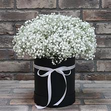 Цветочная композиция из Гипсофила в шляпной коробке #REPLACE_PRED# Синьково