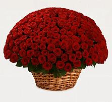 Премиум букет из: Розы в Синьково