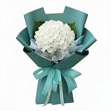 Букет цветов из:  Гортензия в Синьково